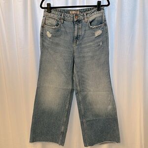 Zara Wide Leg Jeans